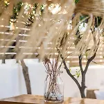 Riviere Paros * ناوسا