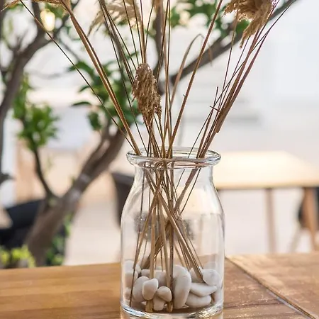 酒店 Riviere Paros 纳乌萨