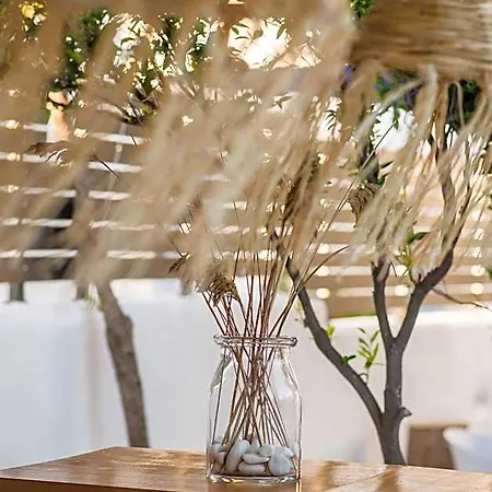 Riviere Paros ホテル ナウサ