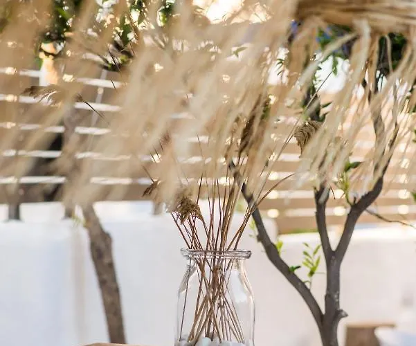 Riviere Paros * Naousa (Paros)