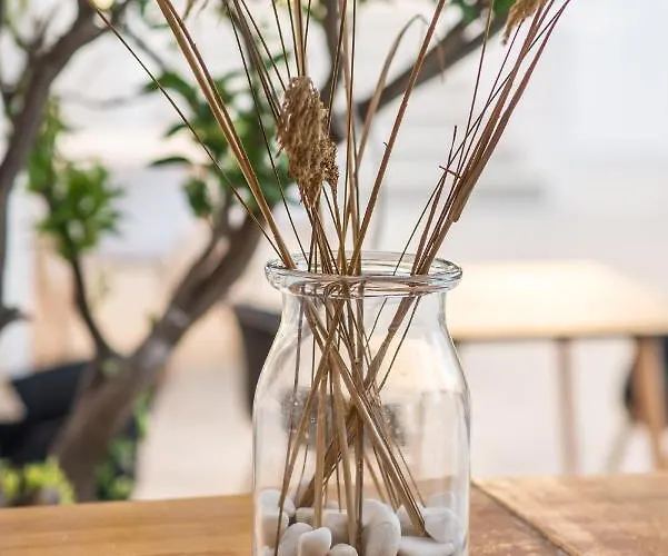 Hotel Riviere Paros Naousa (Paros)